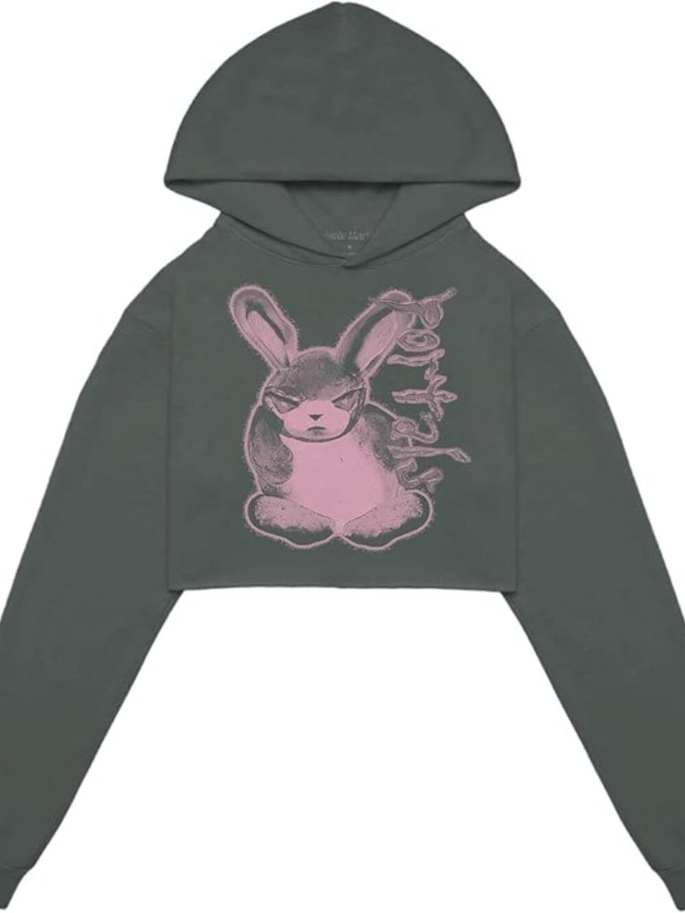 NWOT Melanie Martinez Women's Melanie Martinez Evil Bunny Crop Hoodie Large